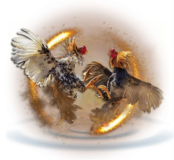 UGM888 : LINK LOGIN AGEN HIBURAN SABUNG AYAM ONLINE BEBAS ARENA TERBAIK